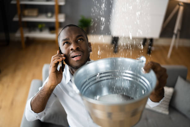 Best Water damage cleanup near me  in Magna, UT