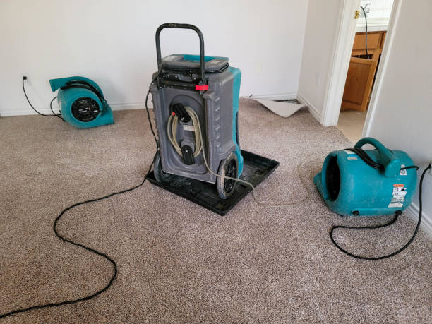 Best Water damage repair service  in Magna, UT