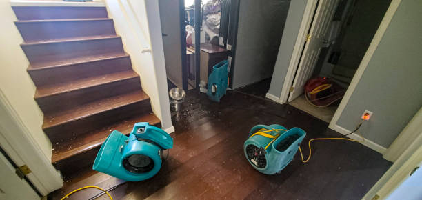 Trusted Magna, UT Water damage restoration Experts