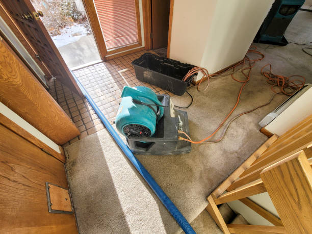Best Fire Damage Restoration  in Magna, UT