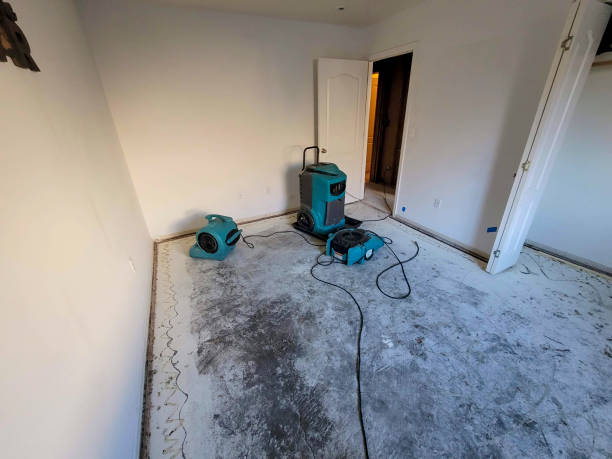 Best Carpet water damage restoration  in Magna, UT