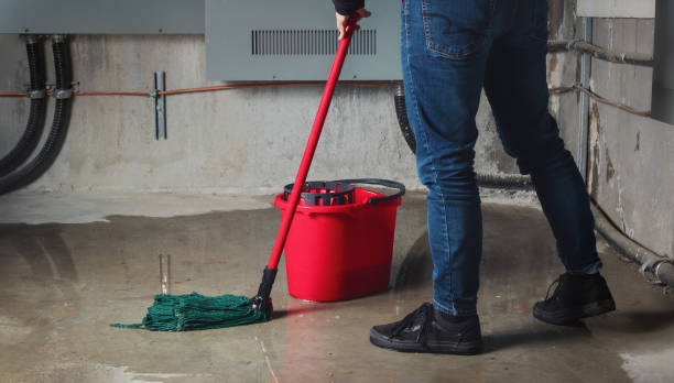 Best Professional water damage repair  in Magna, UT