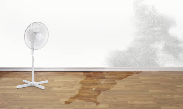 Best Flooded house restoration  in Magna, UT