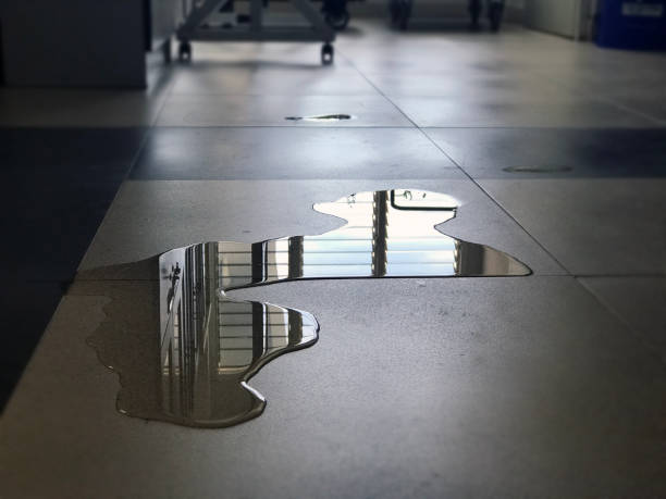Water damage restoration experts in Magna, UT