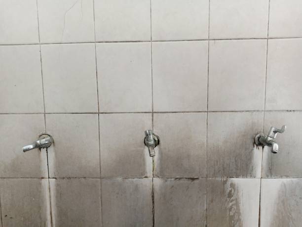 Water damage restoration mold remediation in Magna, UT