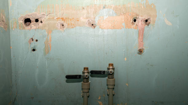 Best Water damage repair service  in Magna, UT