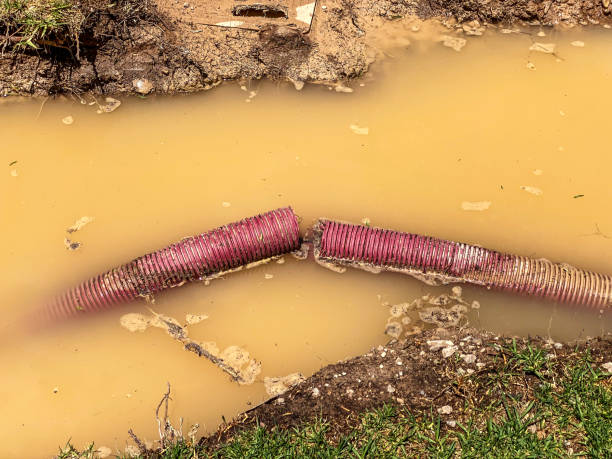 Local water damage restoration in Magna, UT