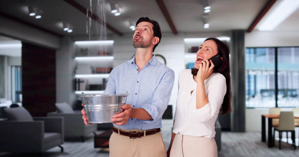 Best Residential water damage restoration  in Magna, UT