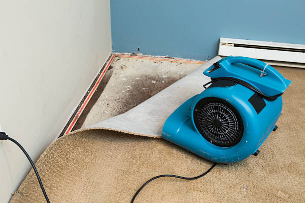 Best Water damage restoration insurance claims  in Magna, UT